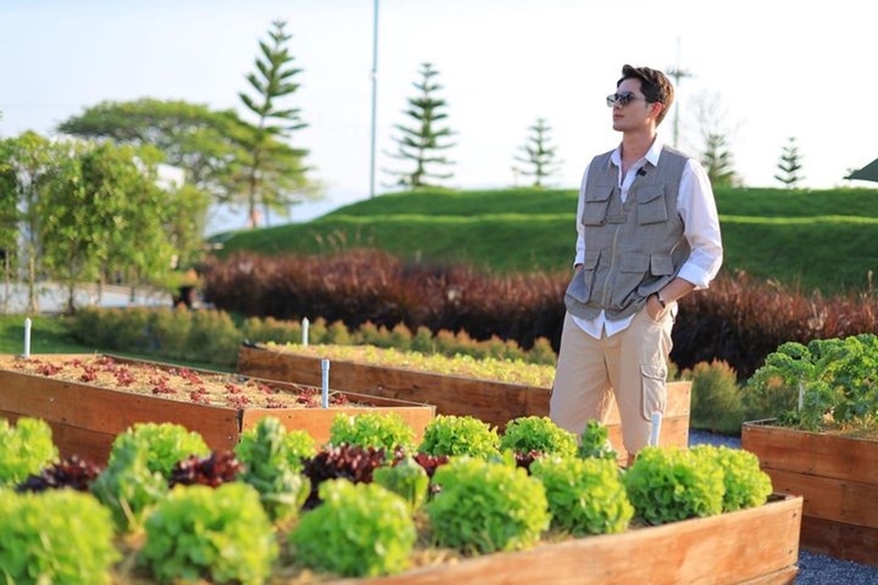 MIK Mountain แปลงปลูกผัก