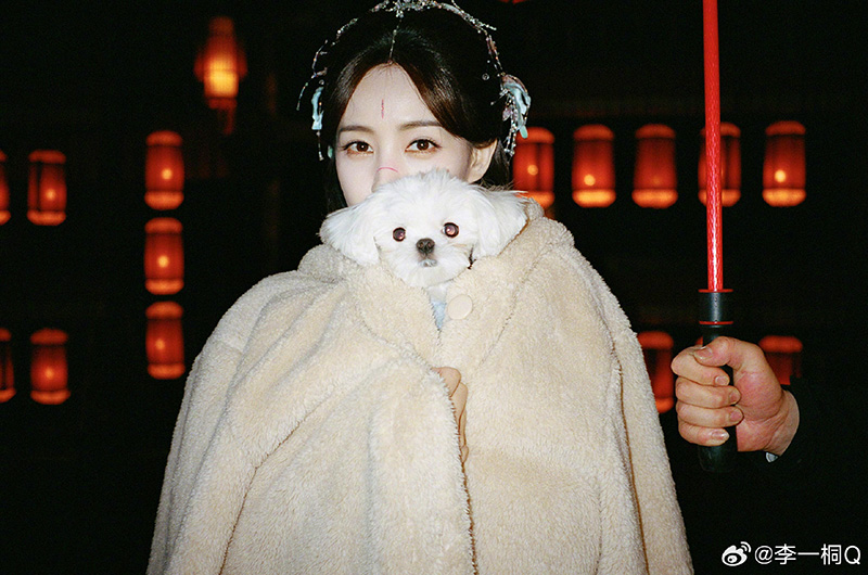 หลี่อี้ถง ประวัติ