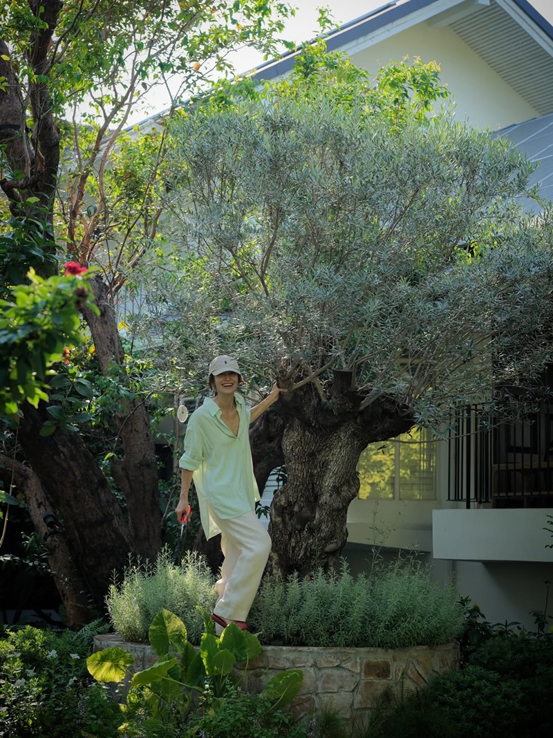 บ้านแอน ทองประสม