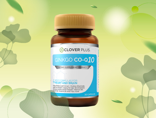 CLOVER PLUS Ginkgo Co-Q10