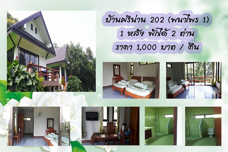 ที่พักในอุทยานแห่งชาติศรีน่าน