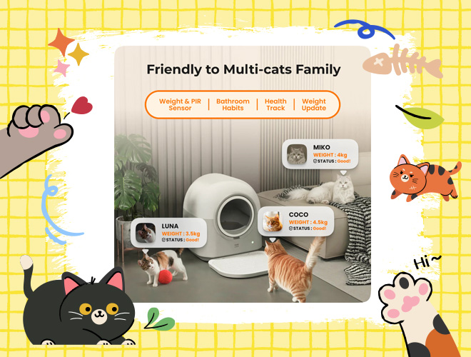 ห้องน้ำแมวอัจฉริยะ น่าซื้อ 2569