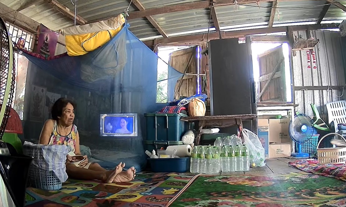 ตัวเงินตัวทอง