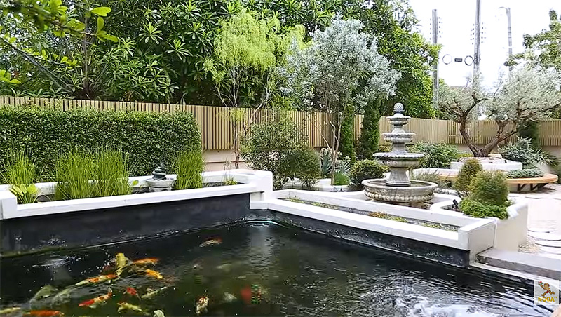 บ้านเอมี่ ตีท้ายครัว