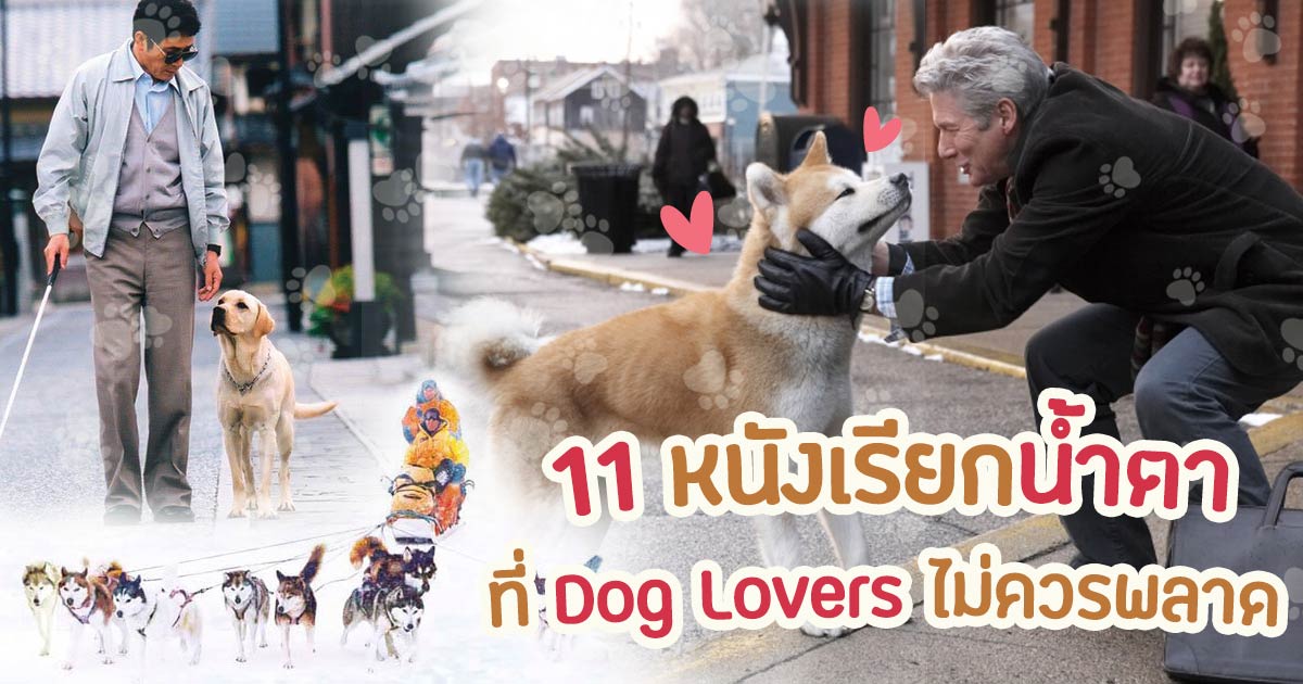 หนัง สนุข