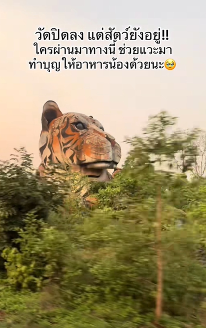 วัดป่าหลวงตาบัว