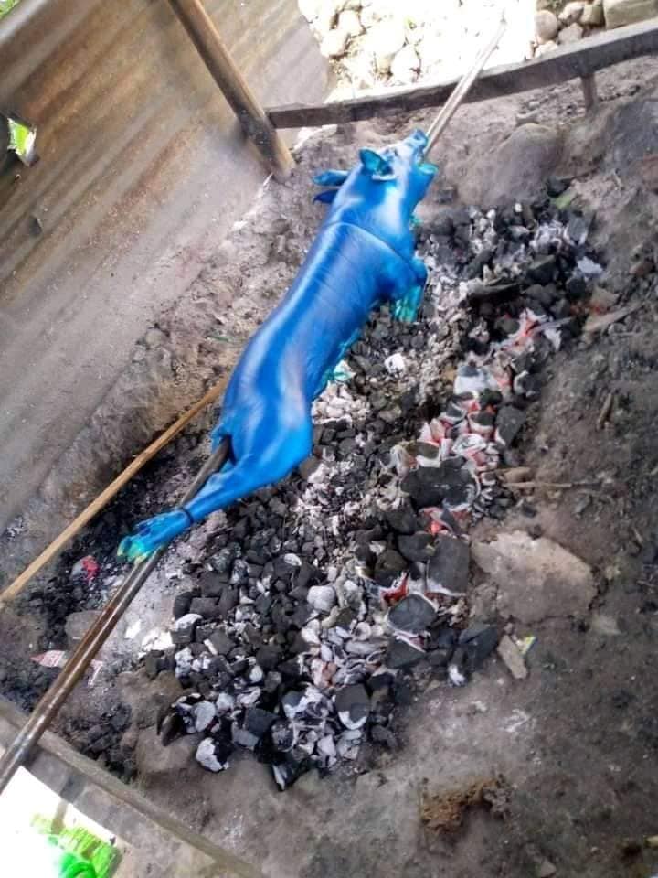 หมูหันอวตาร