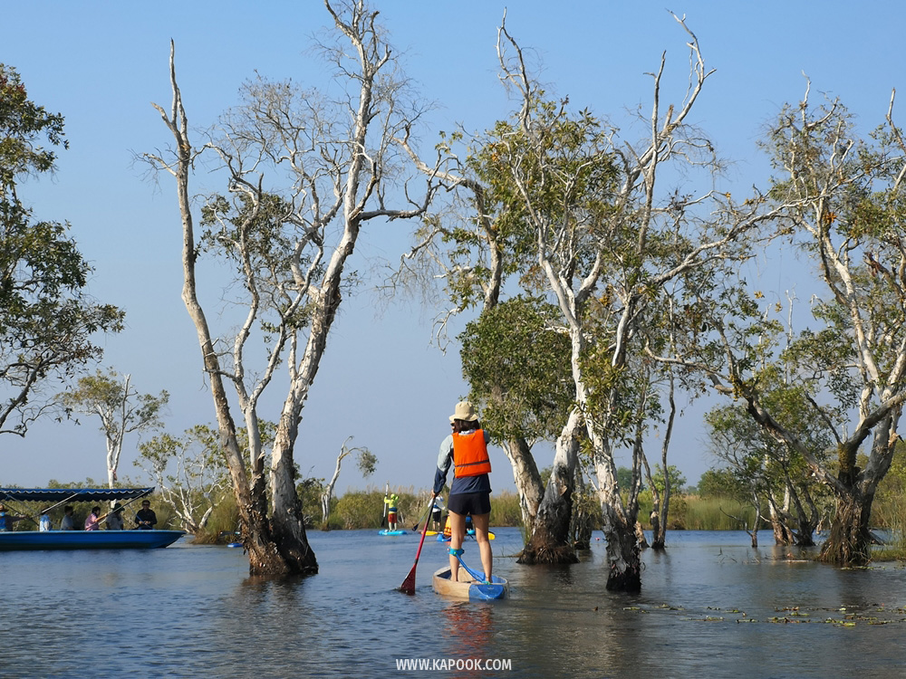 เที่ยวระยอง