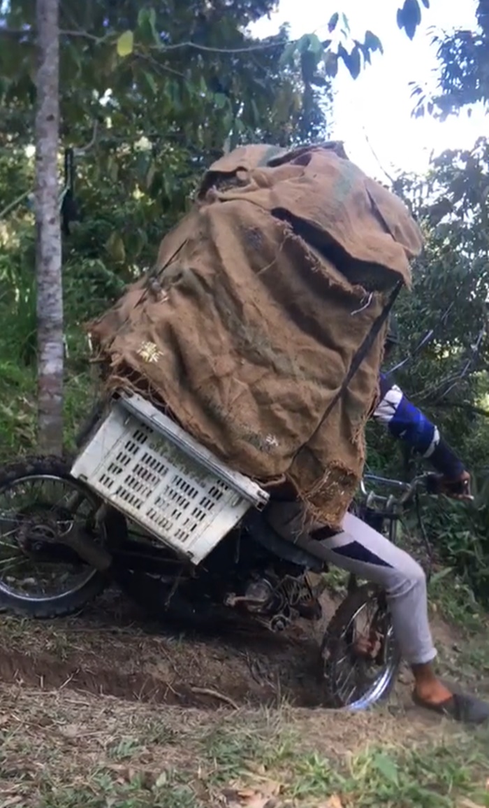 ขนทุเรียน