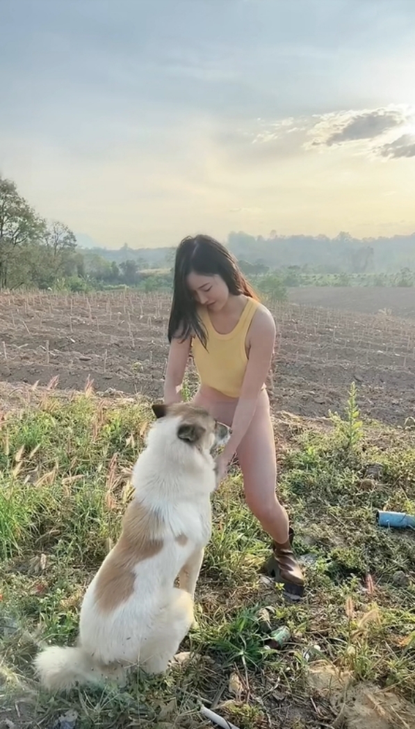 เล่นกับหมา