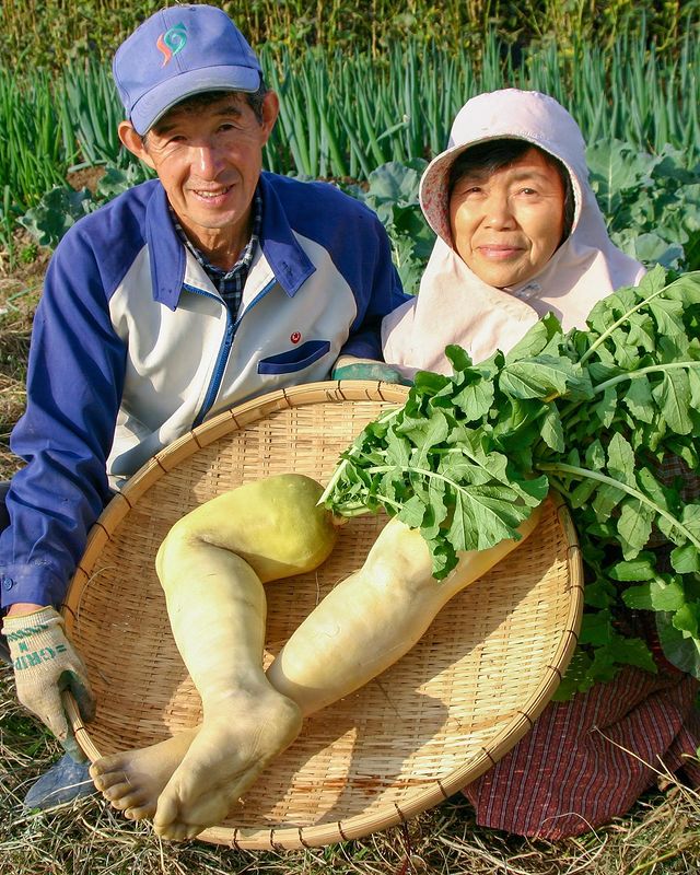 หัวไชเท้า