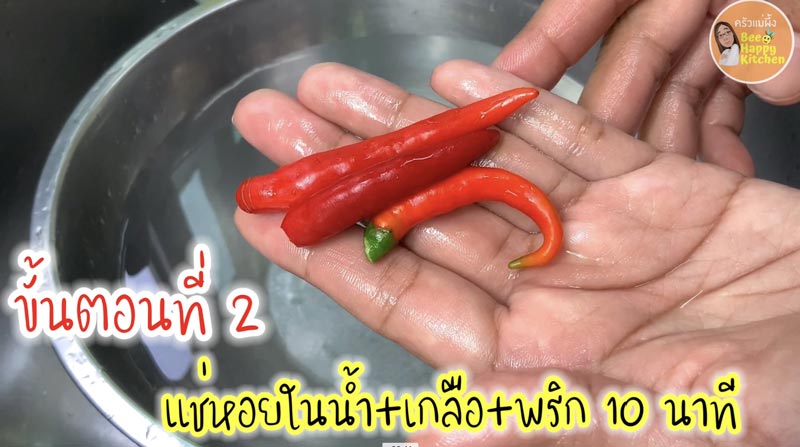 วิธีล้างหอยลาย