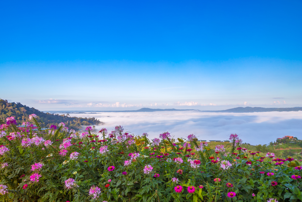 สถานที่ท่องเที่ยว