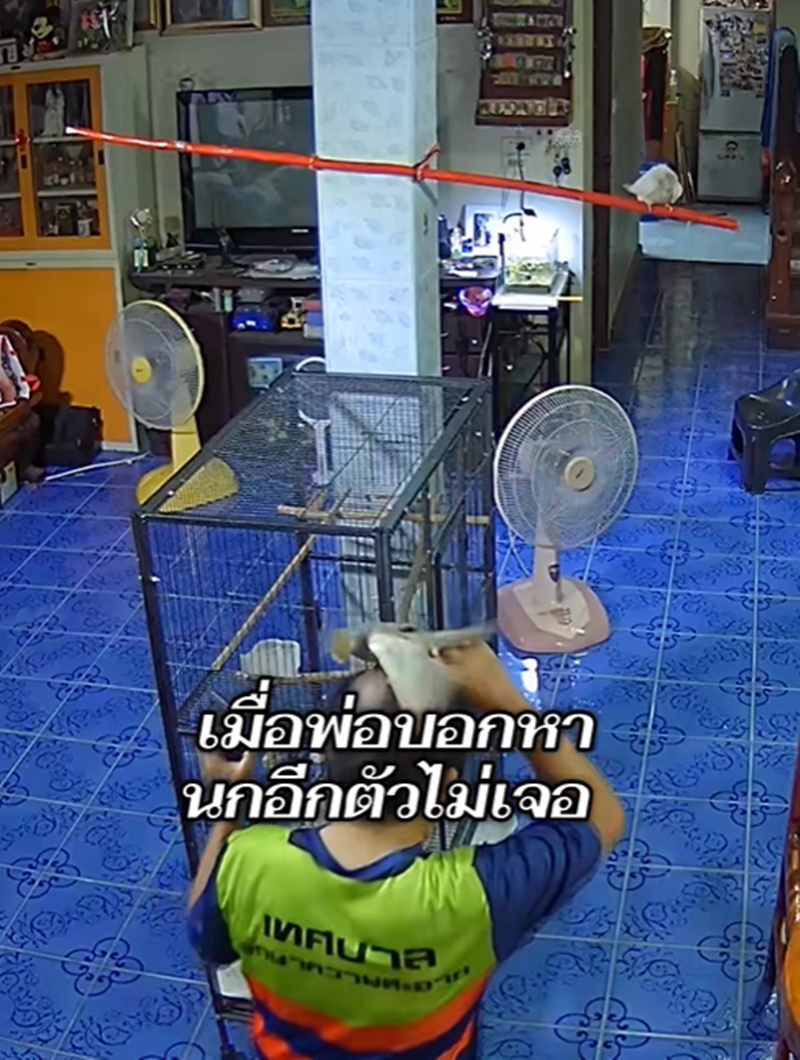 ตามหานก