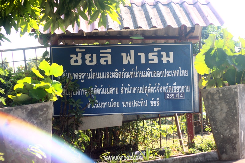 เที่ยวเชียงราย