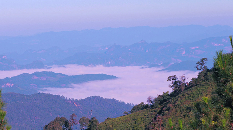 ดอยจิกจ้อง