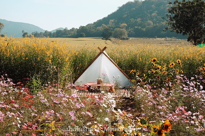 ที่เที่ยวหน้าหนาว ใกล้กรุงเทพฯ