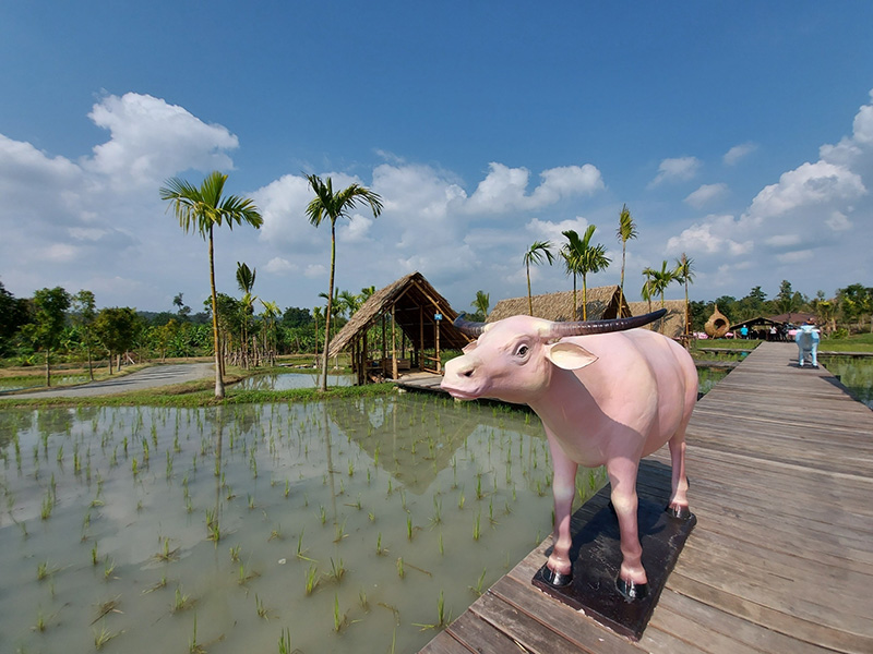 ปางเปาบีช เชียงใหม่