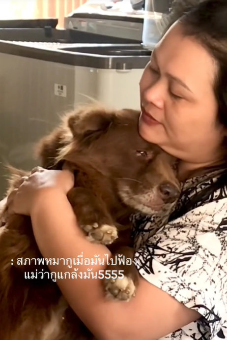 เล่นกับหมา