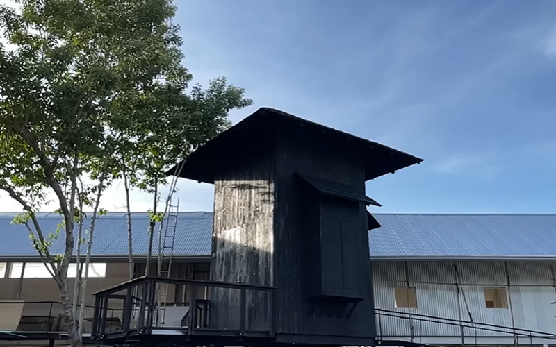 บ้านต้นไม้ โทนี่-แก้ว