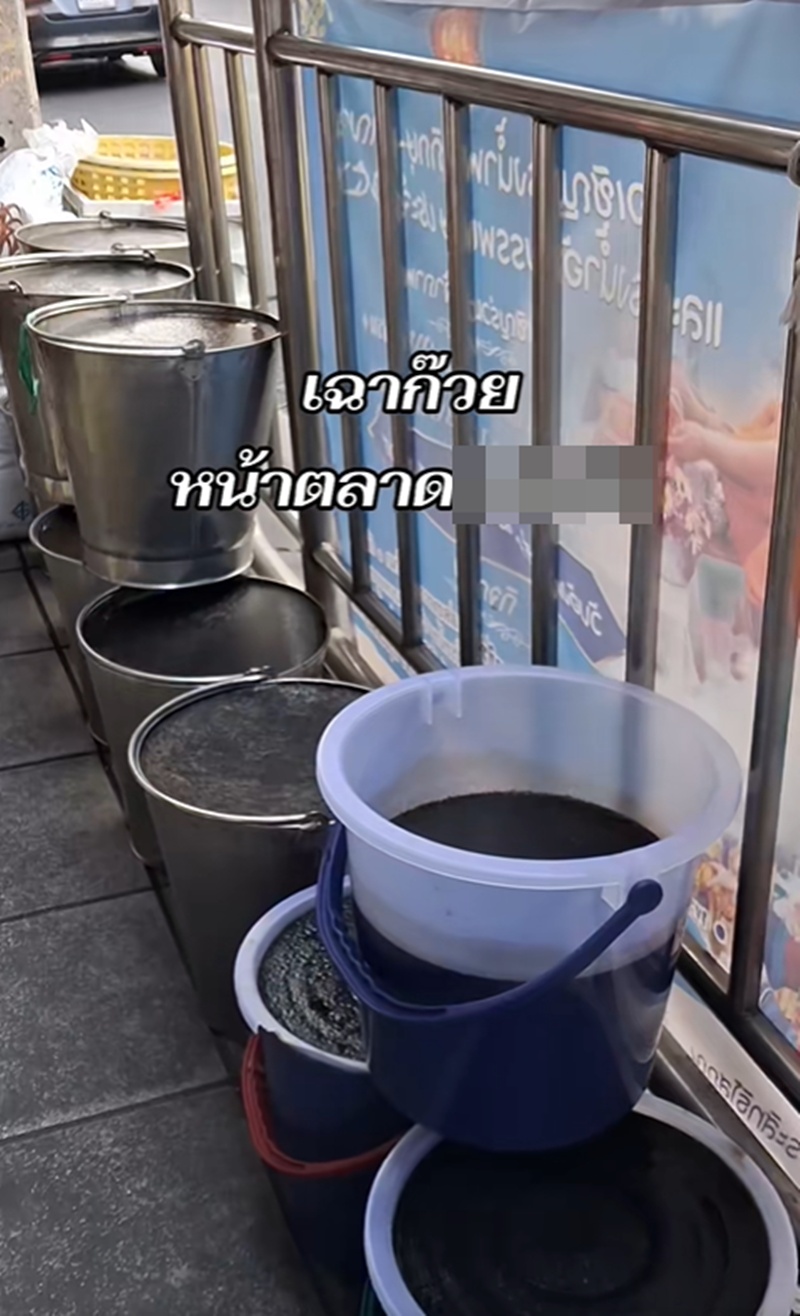 เฉาก๊วย