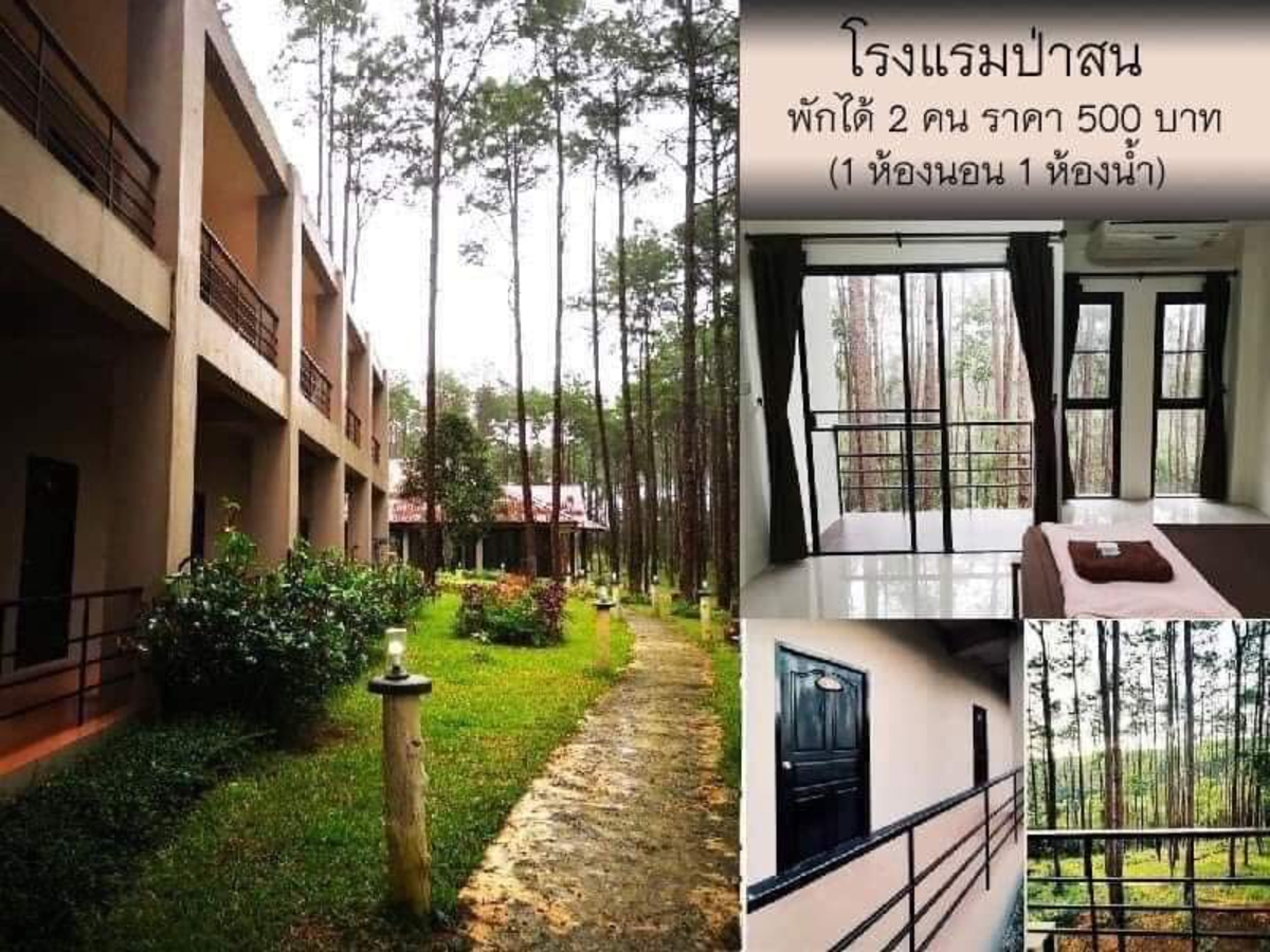 สวนป่าดอยบ่อหลวง เชียงใหม่