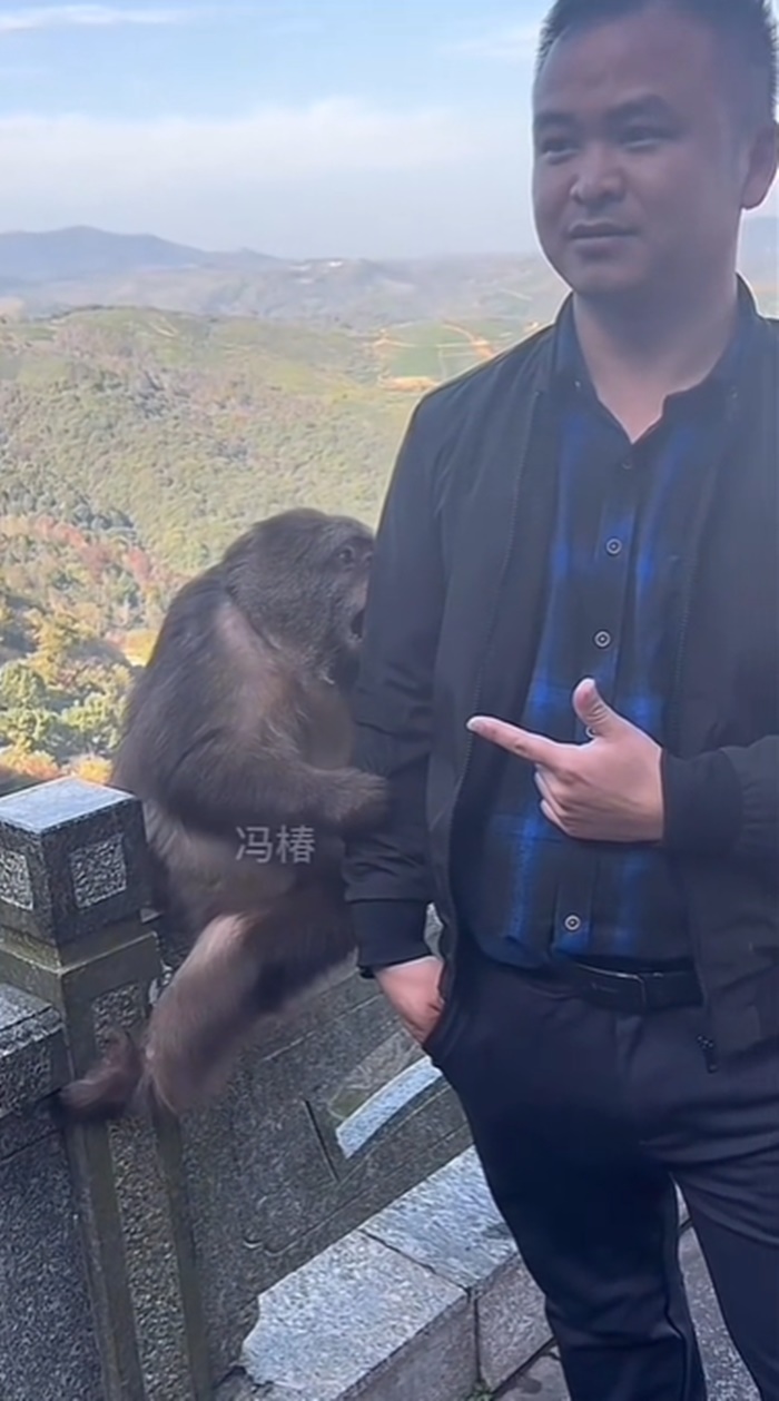 ลิงแกล้งคน