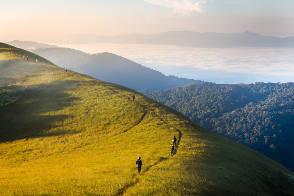 เที่ยวดอยหน้าหนาว