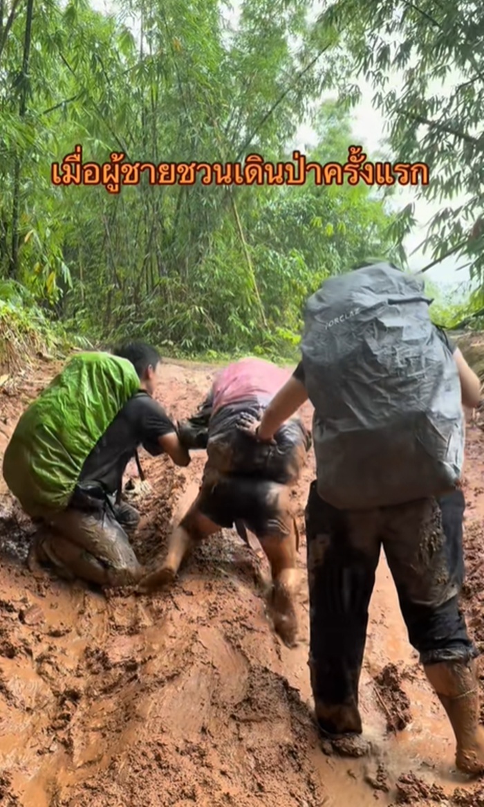 เดินป่า