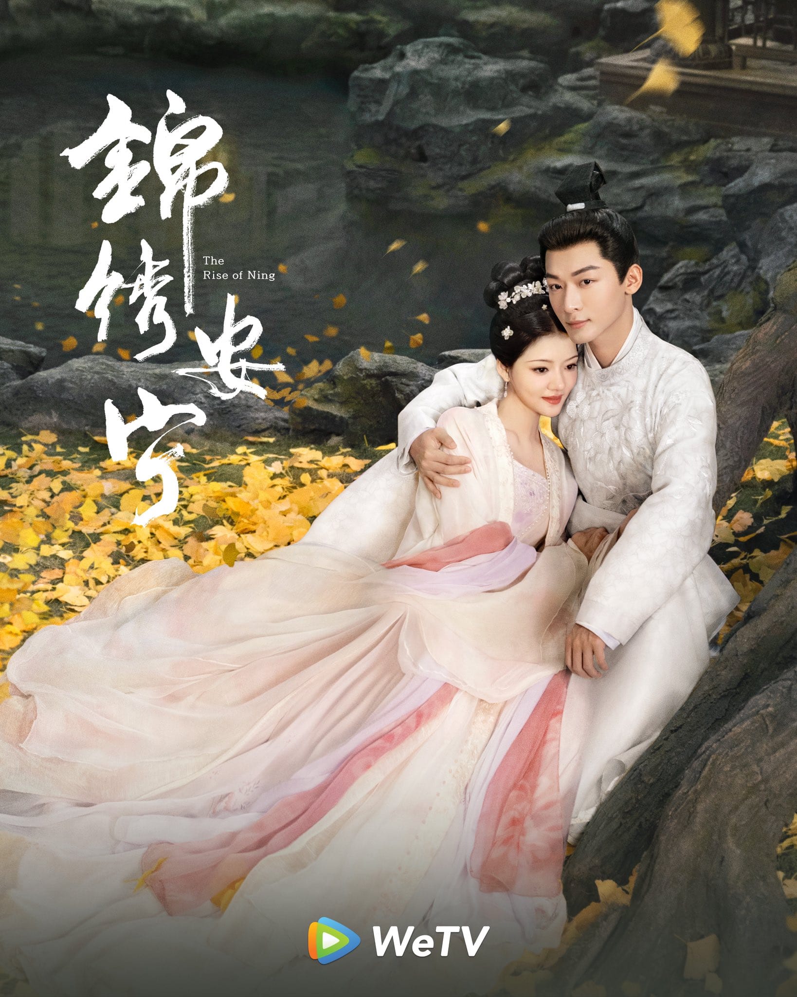 The Rise of Ning