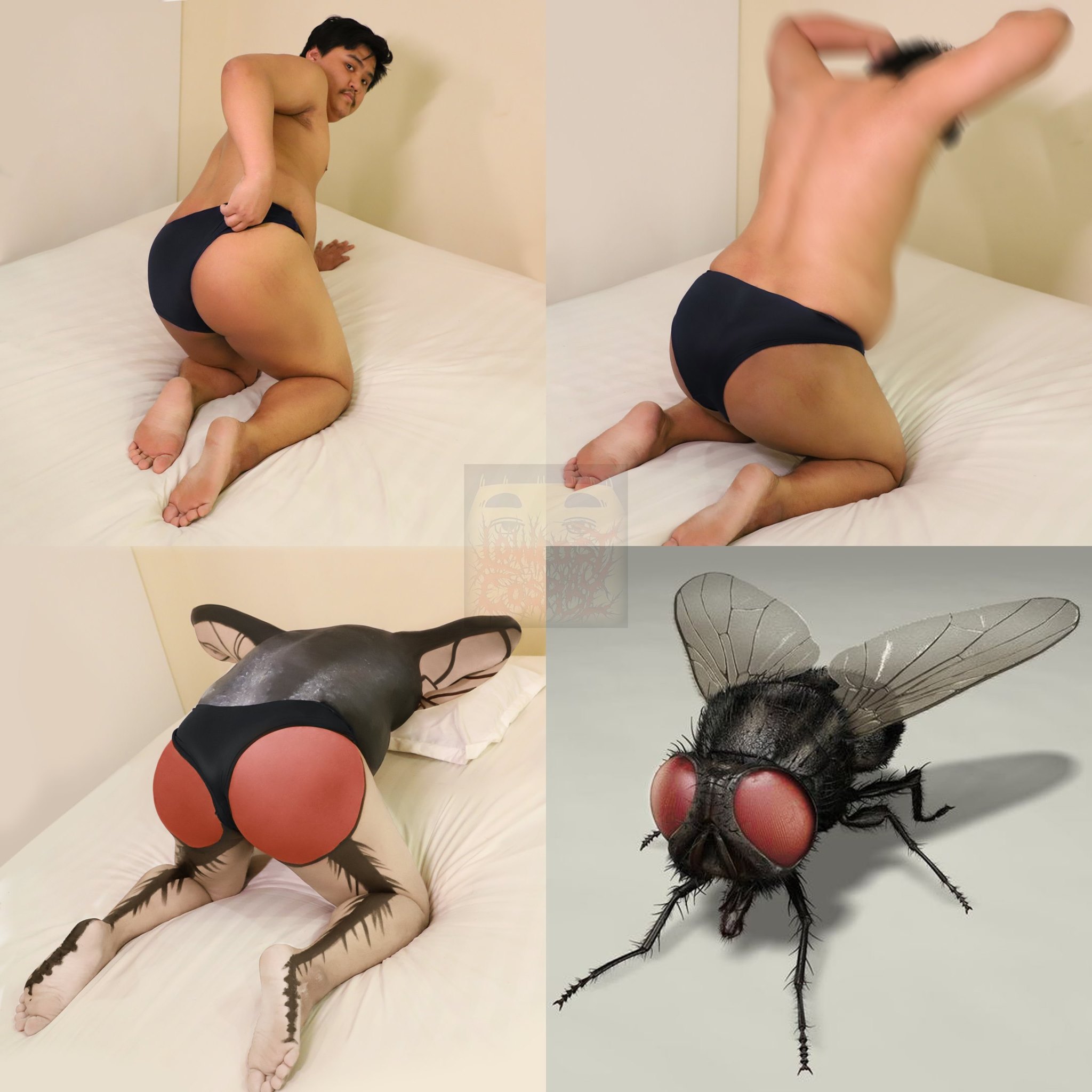 คอสเพลย์สัตว์โลกน่ารัก