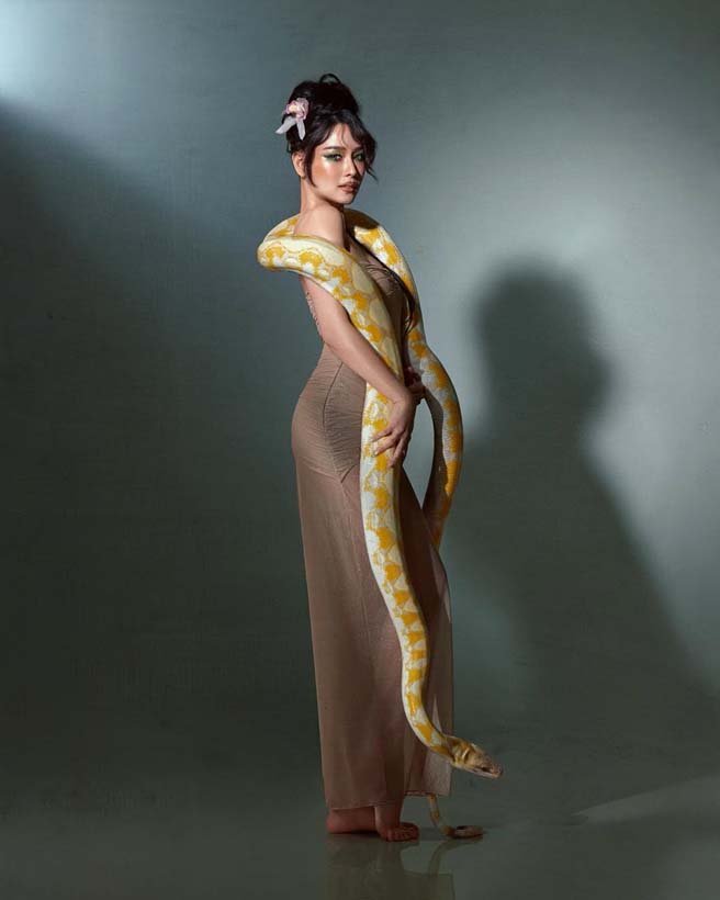 โม อมีนา