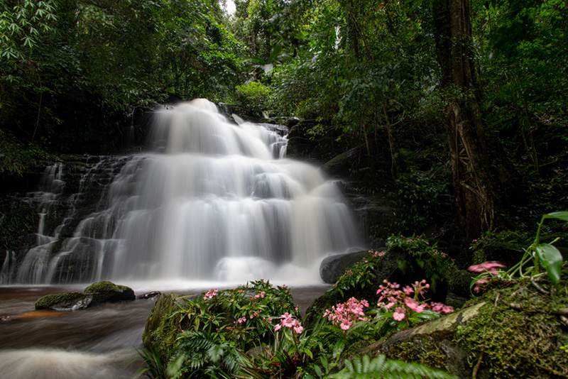 ภูหินร่องกล้า น้ำตกหมันแดง