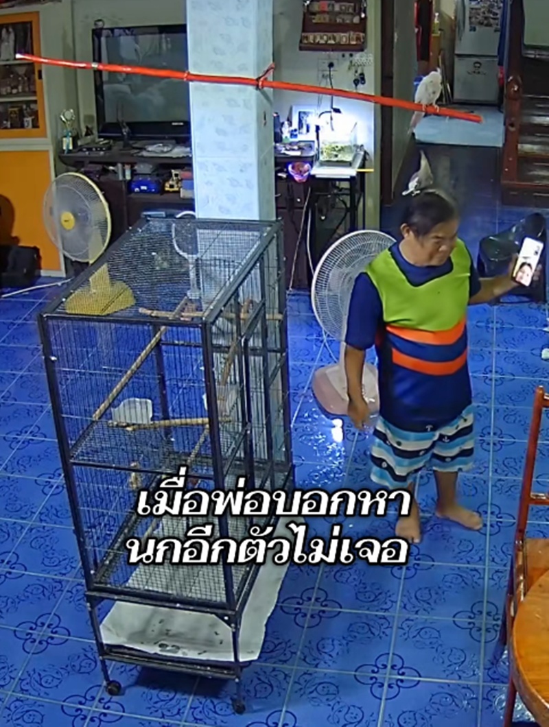 ตามหานก