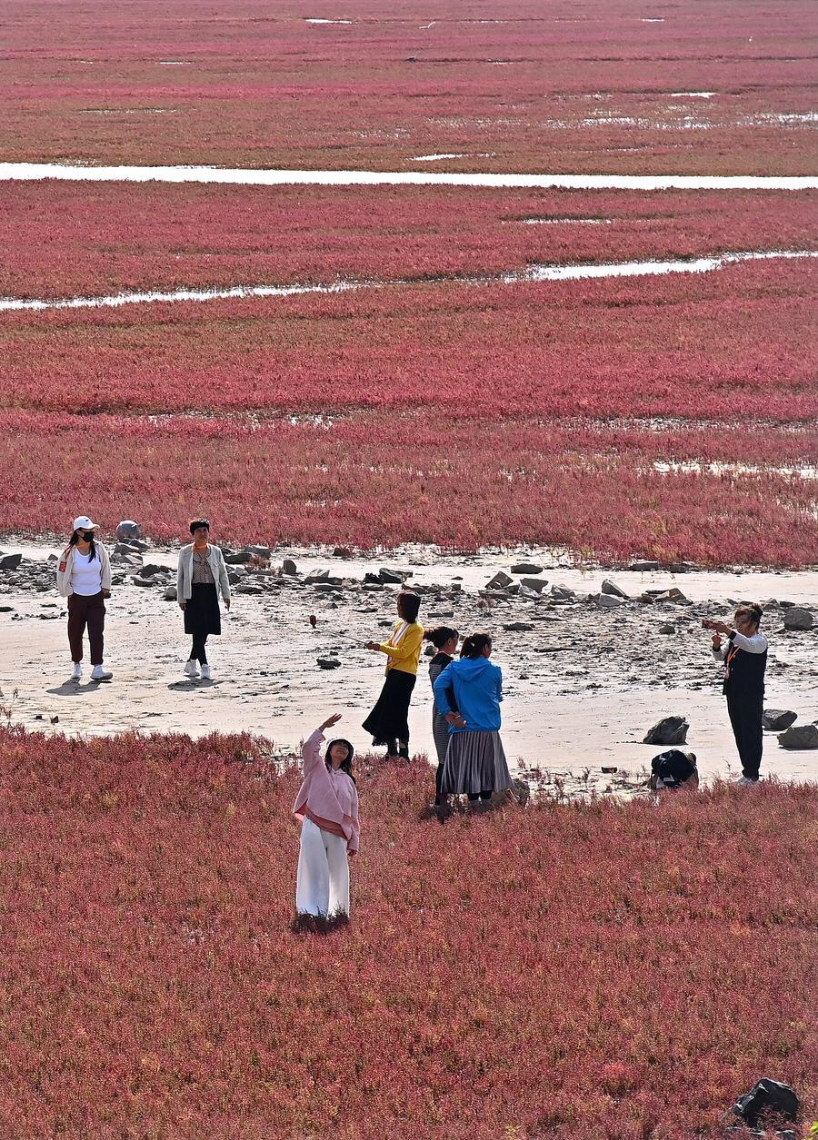 หาดแดง