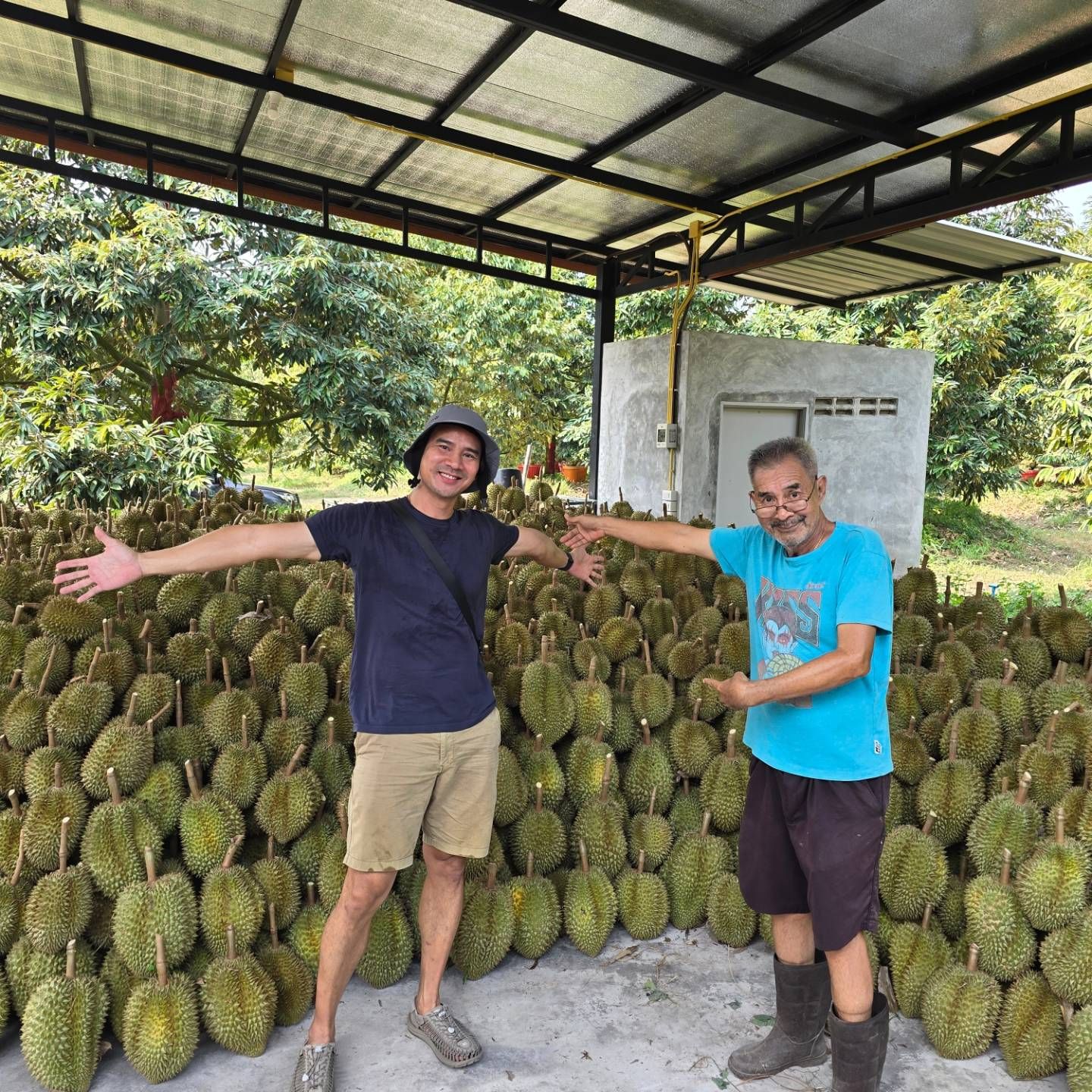 ชลิต เฟื่องอารมย์