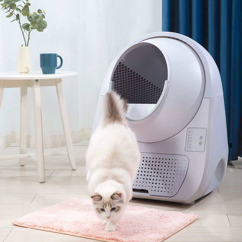 Xiaomi CATLINK