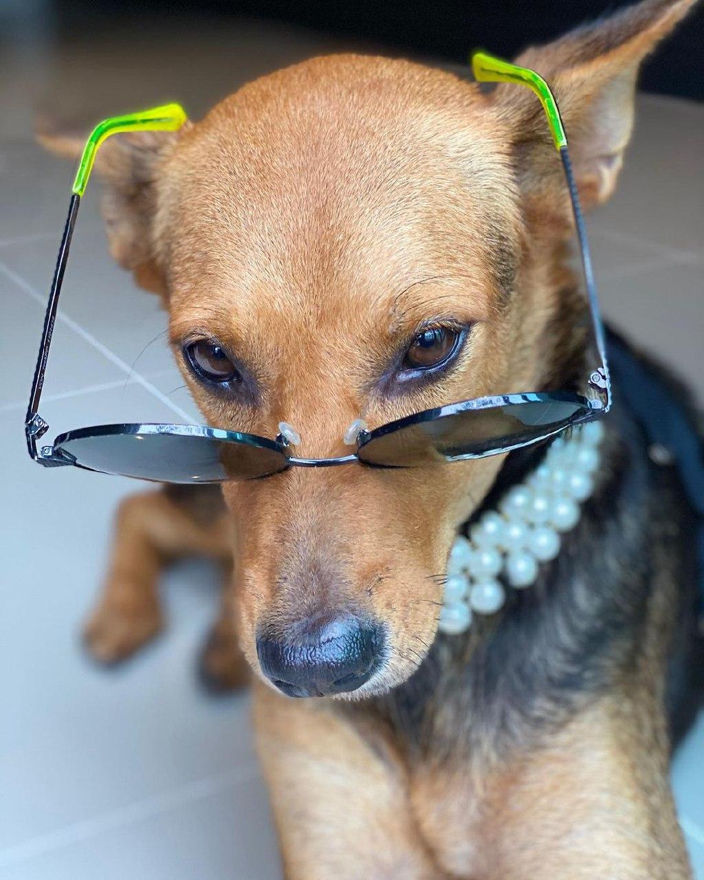 น้องหมูทะ