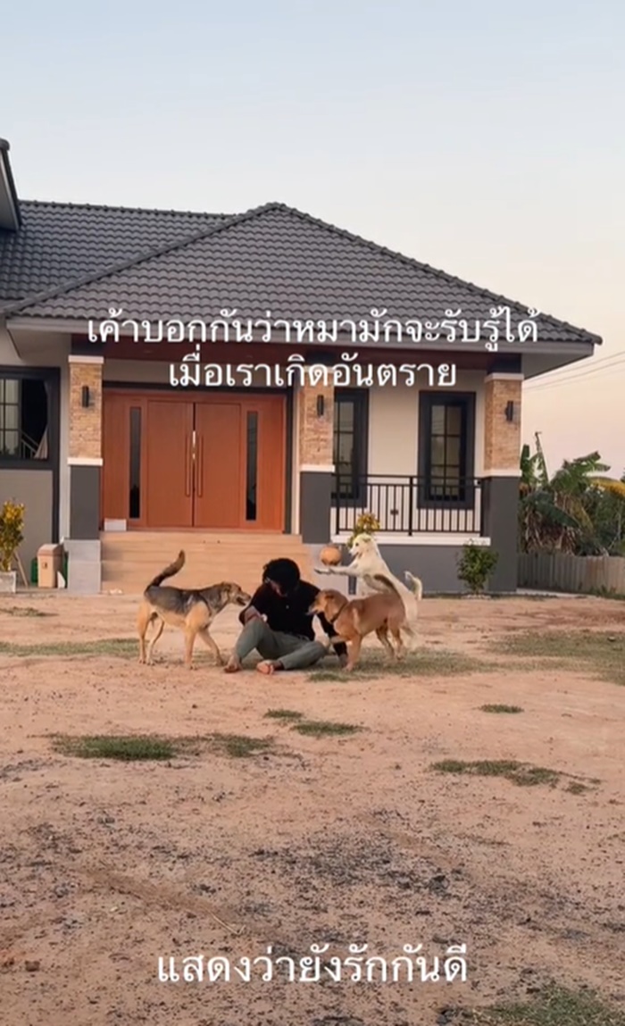 ลองใจหมา