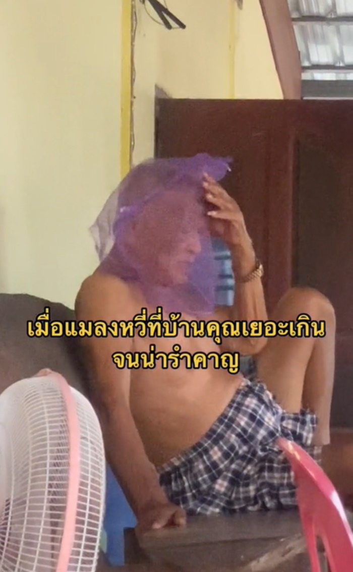 แมลงหวี่