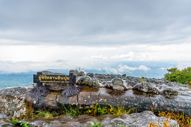 ลานหินปุ่ม ภูทับเบิก