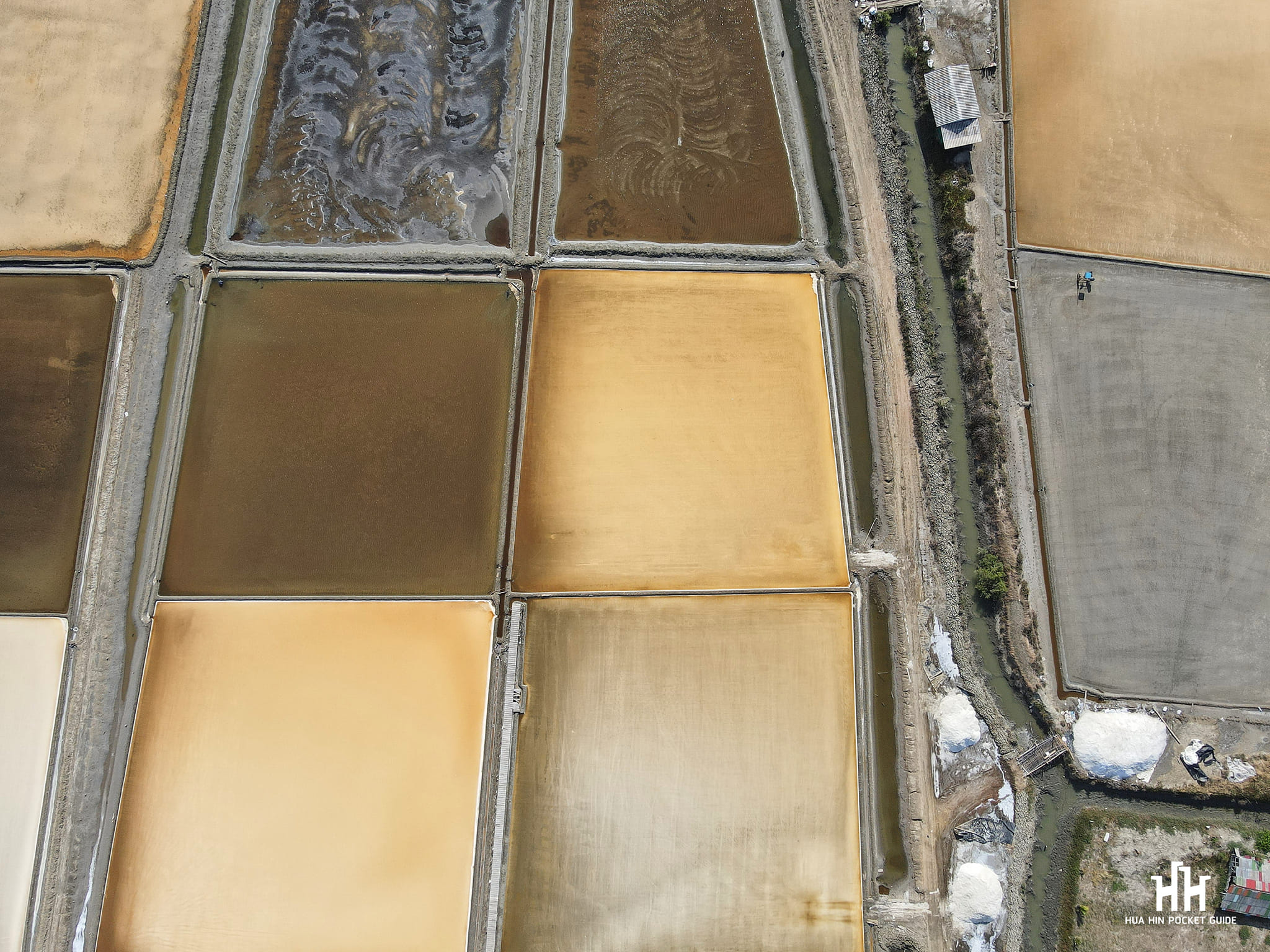 นาเกลือ