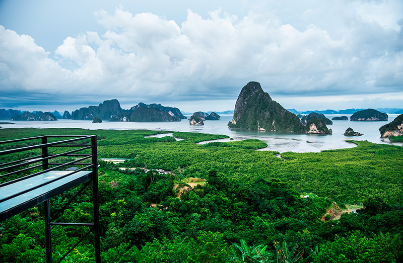 ที่เที่ยวปลายฝนต้นหนาว เสม็ดนางชี