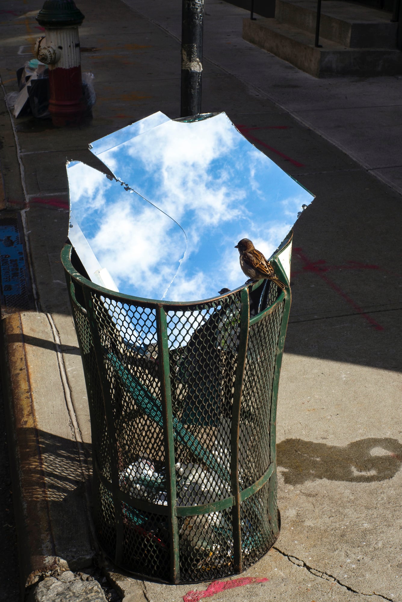 ภาพถ่าย