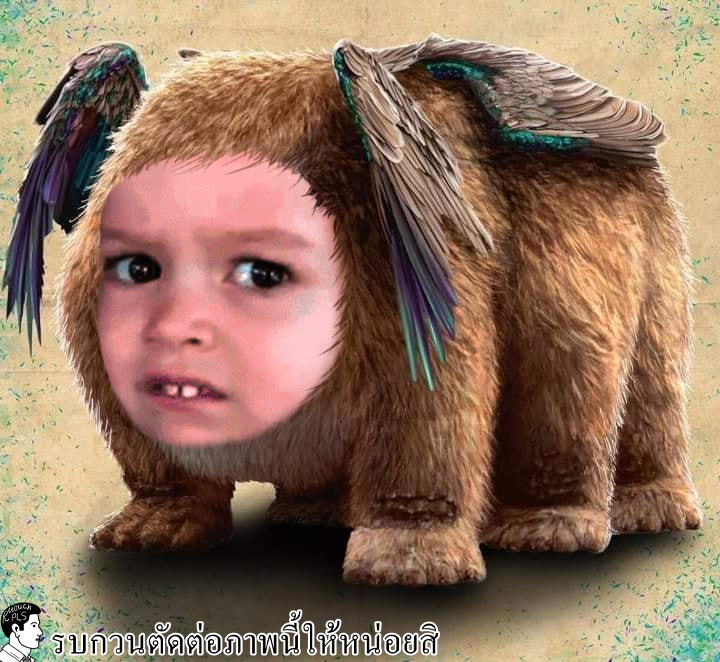 มอร์ริส