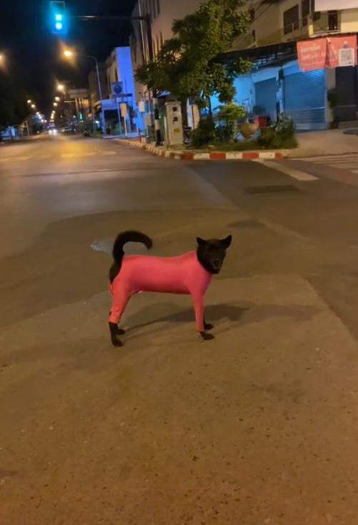 ชุดรัดรูป