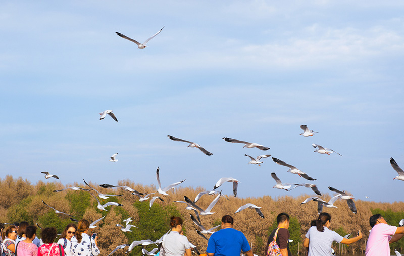 ที่เที่ยวปลายฝนต้นหนาว