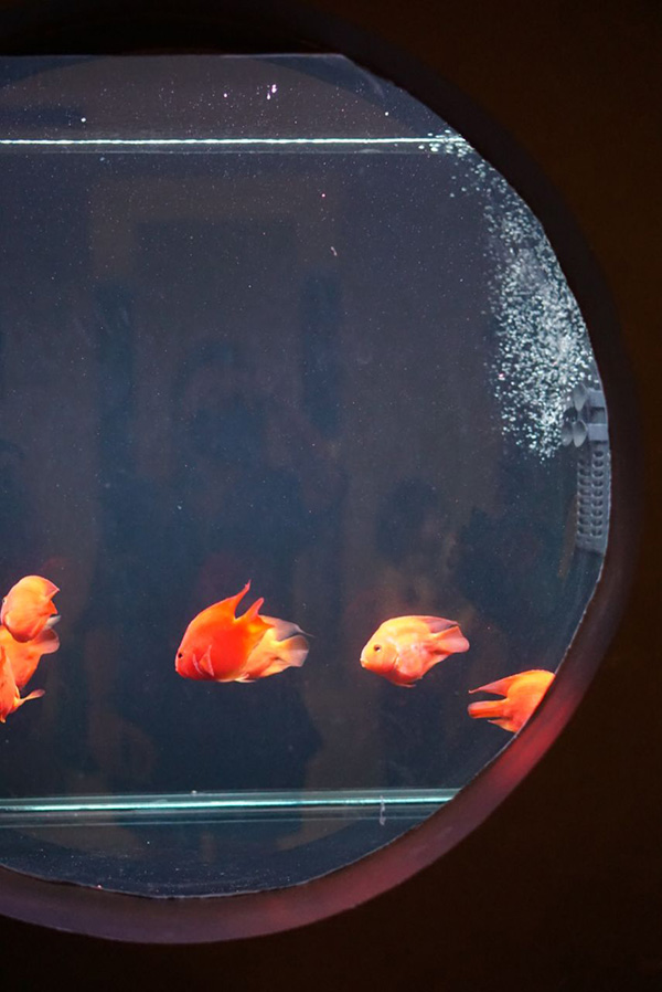 สวนสัตว์พาต้า