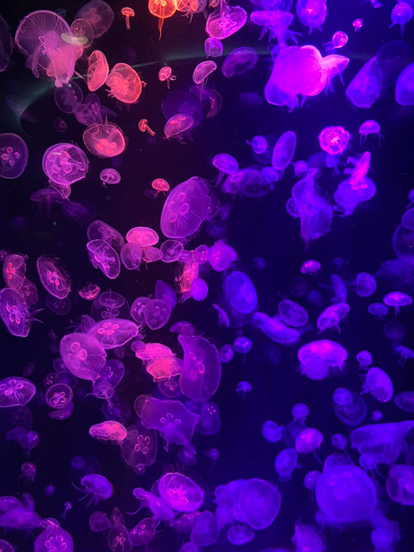 ที่เที่ยวหน้าฝน ใกล้กรุงเทพ