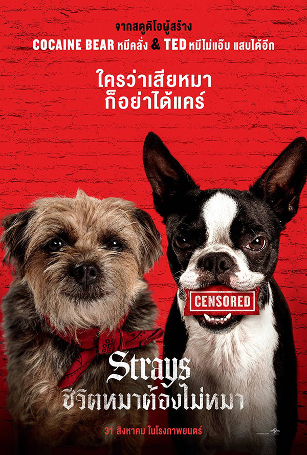 Strays ชีวิตหมาต้องไม่หมา